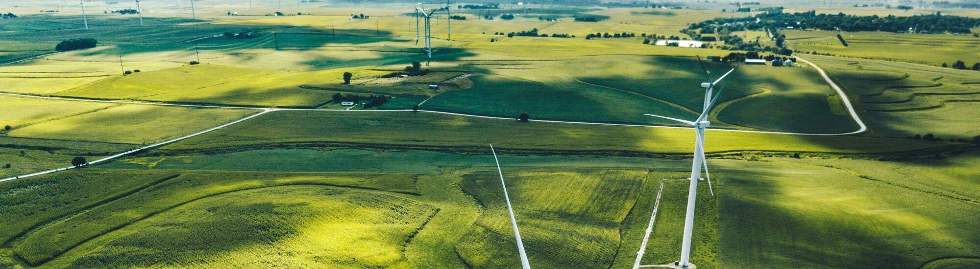 Fields and wind turbines