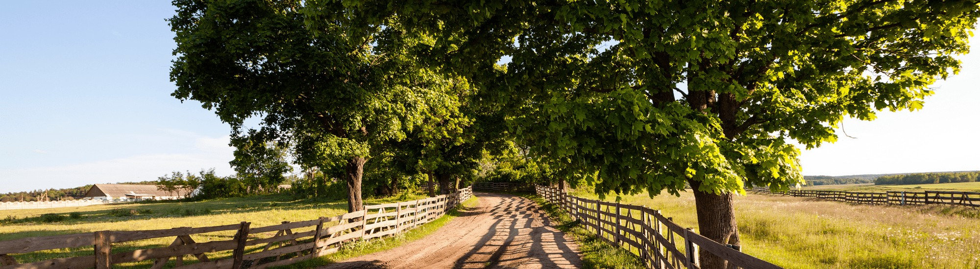 Rural field