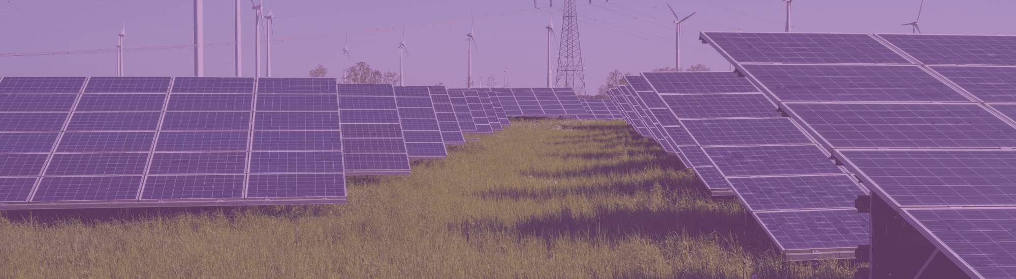 Roots or Roofs header with solar panels